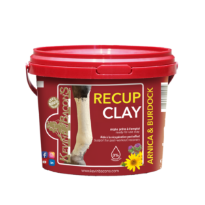 KEVIN BACON&rsquo;S Recup Clay – 1.5 KG