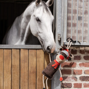 Jouet pour cheval renne Rudi