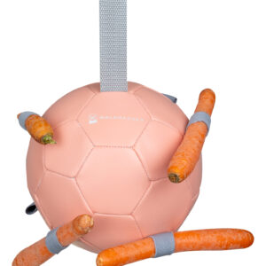 Boule de carotte