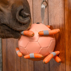 Boule de carotte