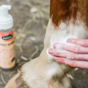 Shampoing Sec Ravene Easy Shine Mouss
