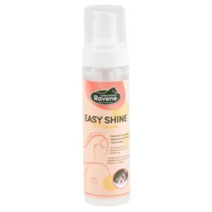 Shampoing Sec Ravene Easy Shine Mouss